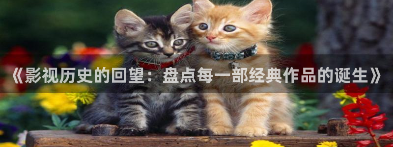 夺命剑星辰影院