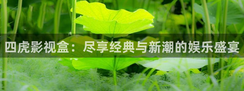 墨雨云间星辰影院在线观看